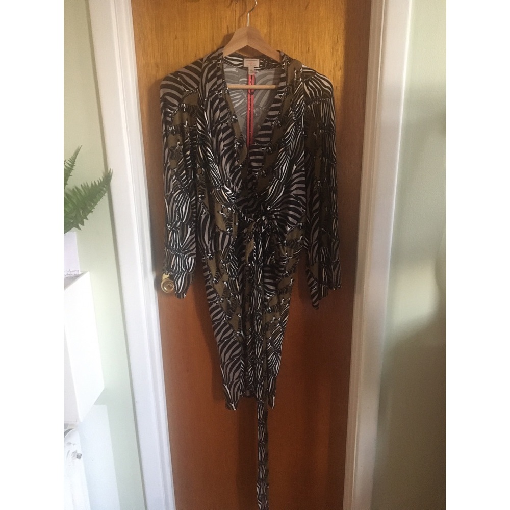 Banana Republic Zebra dress with kimono sleeves